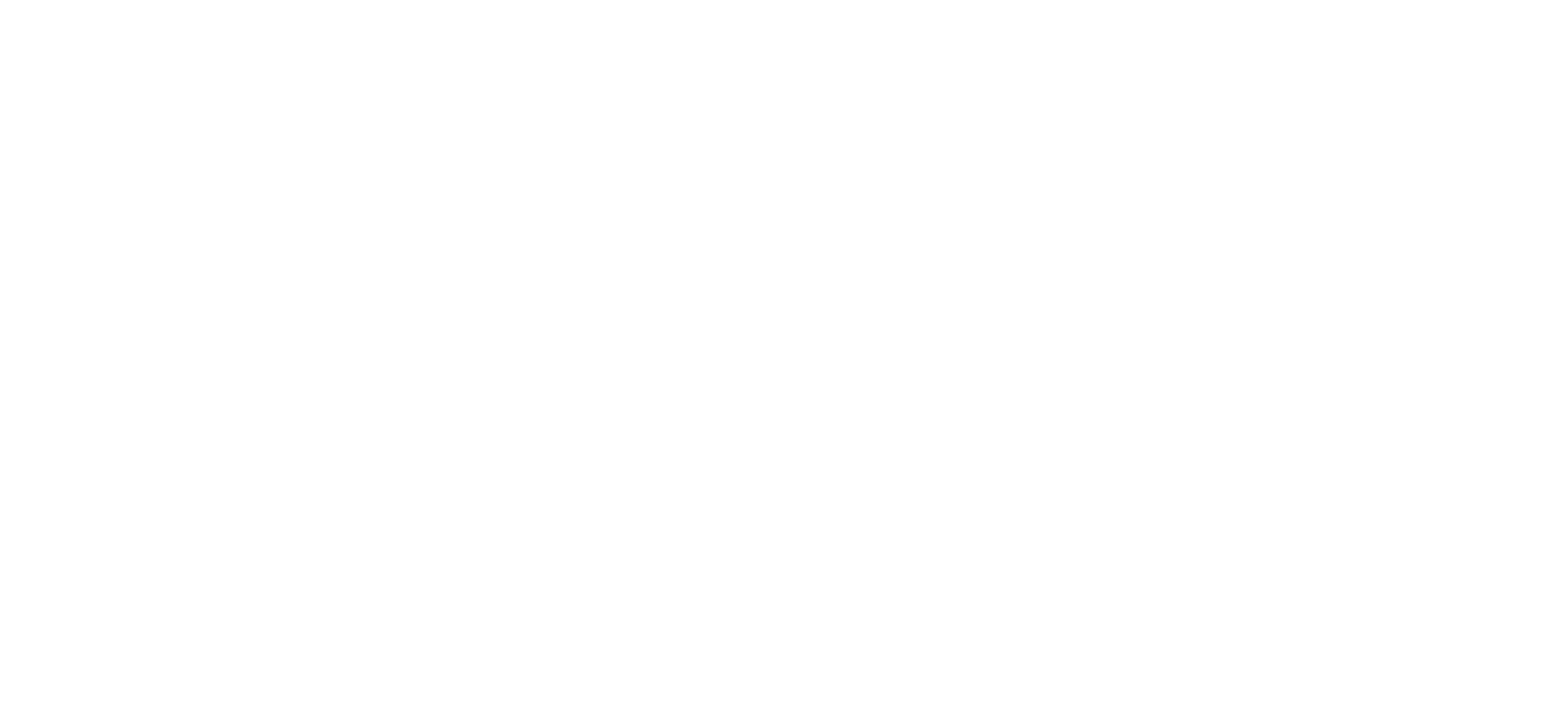 RMB LOGO white